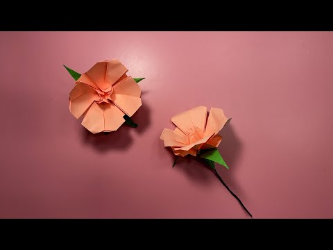 How to make an origami Evening primrose flower, paper arts tutorial, Easy and simple paper Crafts.