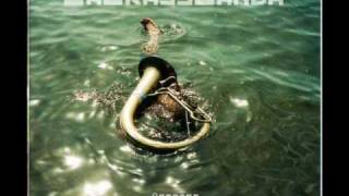 LaBrassBanda - Ringlbleame