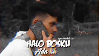 Download lagu Stori halo bosku ada kh wa mp3