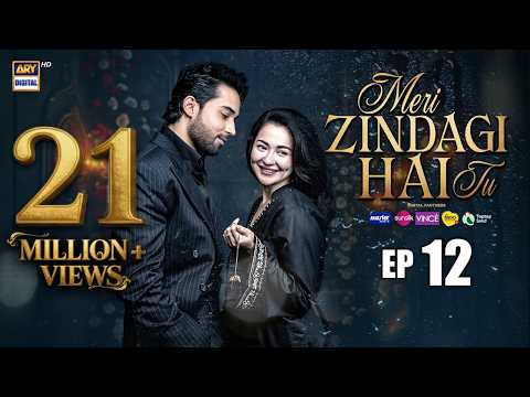 Meri Zindagi Hai Tu Episode 12