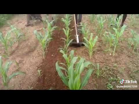 ABC 952 OM AGRO WORLD BRUSH CUTTER