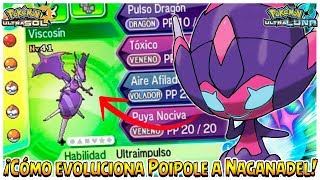 скачать Qué Pasa Con El Vulpix De Alola De La Fundación