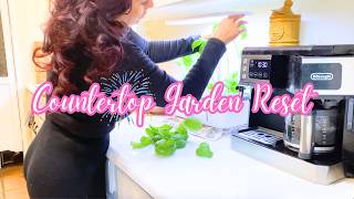 A Soft Reset at Home 🌿 Countertop Gardening, Cleaning & Slow Living
