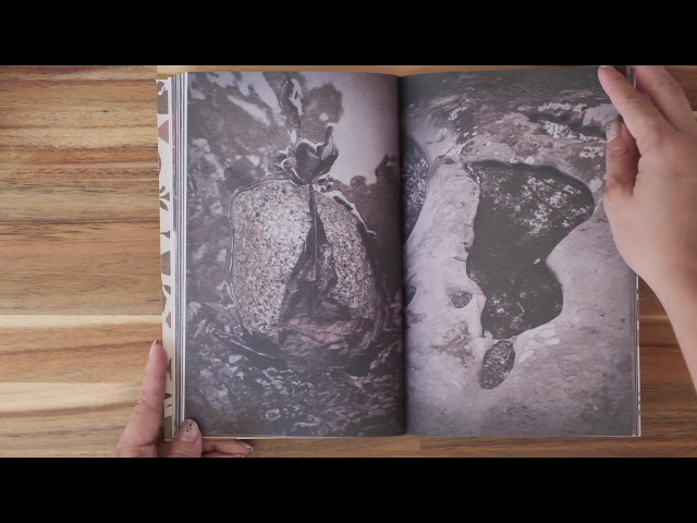 Vídeo relacionado con Las hojas son del viento: Fotografias en la naturaleza