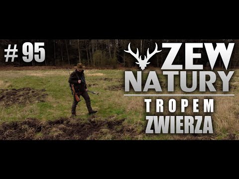 On the Trail of the Wild - Call of Nature #95