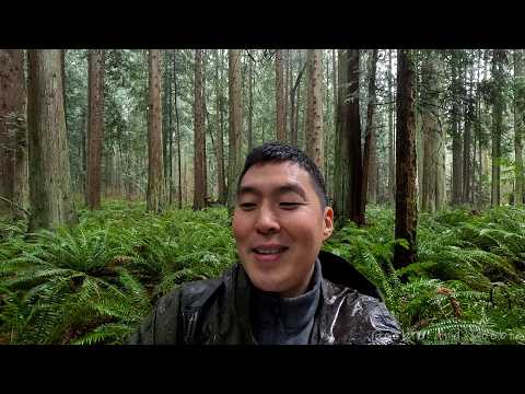 Recentering In a World Gone Insane