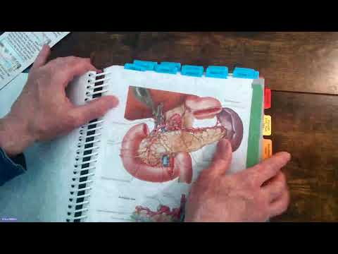 ICD 10 CM Tabbing Tutorial