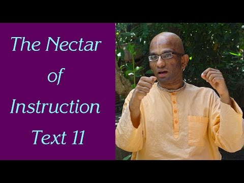 Bhakti Shastri (041) - The Nectar of Instruction Text 11
