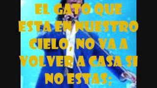 ROBERTO CARLOS, EL GATO EN LA OBSCURIDAD