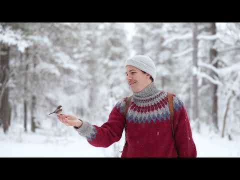 Inari- Voimakas luonnostaan. Talven hiihtotunnelmia.