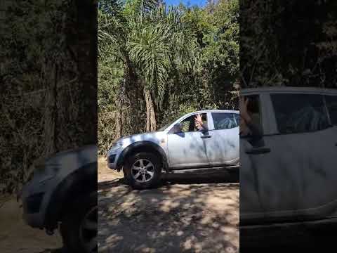 pelas estradas de prudentopolis  pr