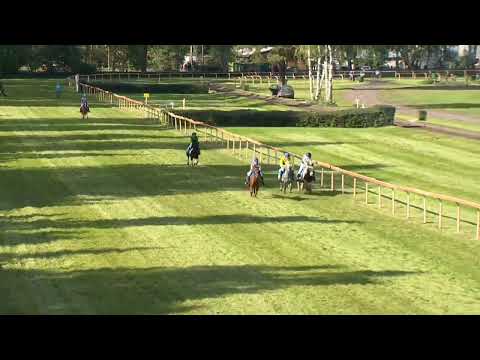 LL - 28. 9. 2022 - Pony liga 2