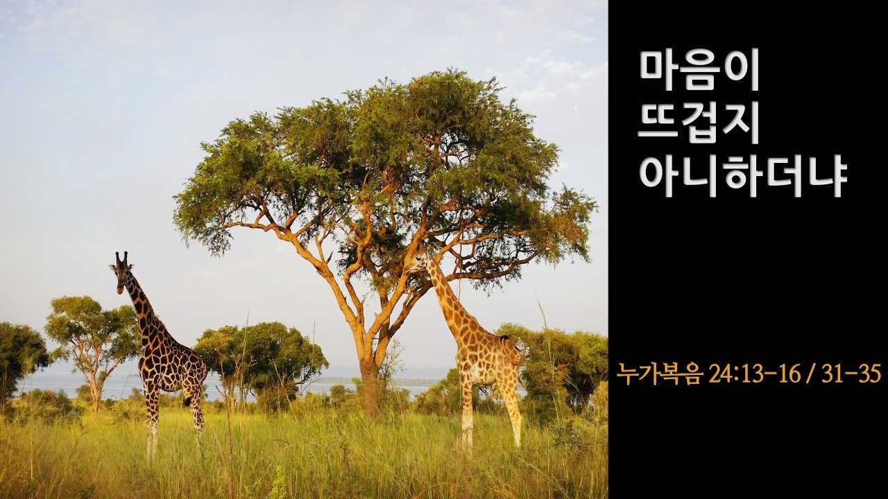 설교기본이미지