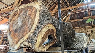 unexpected discovery of giant logs worth hundreds of millions of dollars at a sawmill