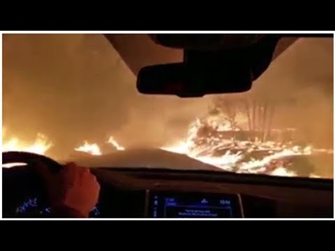 Hollywoodfrun Anna Anka tvingas fly från bränderna