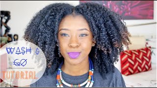Tutorial| Signature Kinky Curly Wash n Go