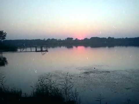 Ksenija Erker  Nikad Vise