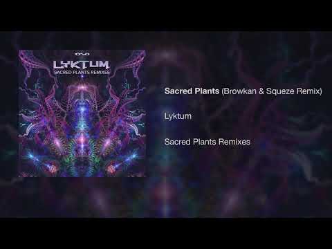 Lyktum - Sacred Plants (Browkan & Squeze Remix)
