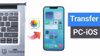 [3 Ways] How to Transfer Photos from PC to iPhone - 2023