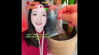 Download lagu This is so funny, I couldn't stop laughing 😂😂 #funny #doddlersoftiktok #funnyvideos #duet mp3