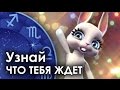 Смешная Зайка - гороскоп для СТРЕЛЬЦОВ . + Смешной прикол! 