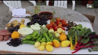 preview picture of video 'HDL El Huerto de Lola: innovación en la producción de verduras y hortalizas libres de químicos'