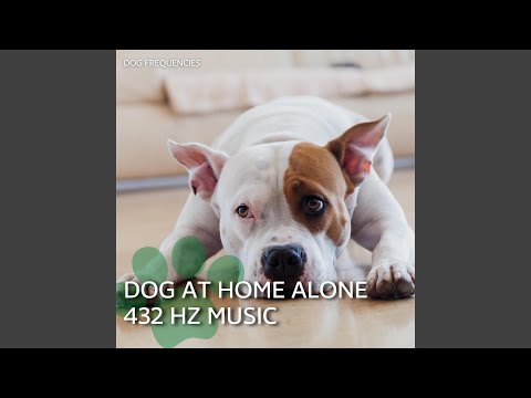 432 Hz Hyper Dog