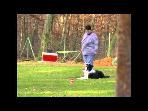 Sabine Witfeld with Rontti First Class 1 Competition Crazy Dogs - Saarland