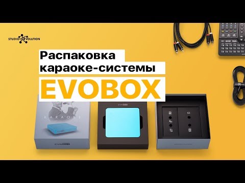 Караоке-система Studio Evolution EVOBOX (Gold)
