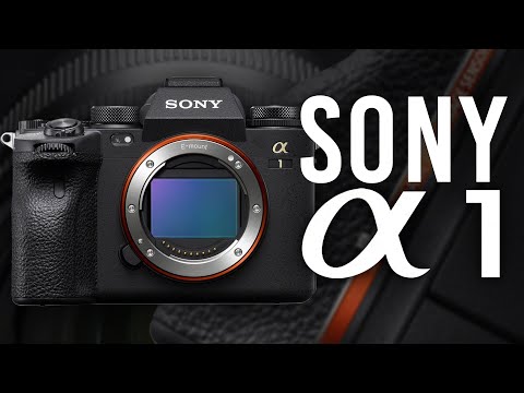 Sony Alpha 1 | First Look