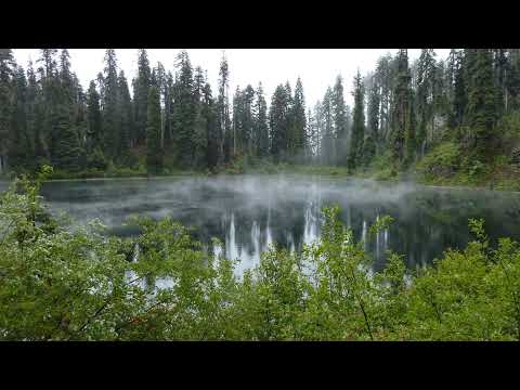 The Hanalyzer: The Pr3dat0r is BACK