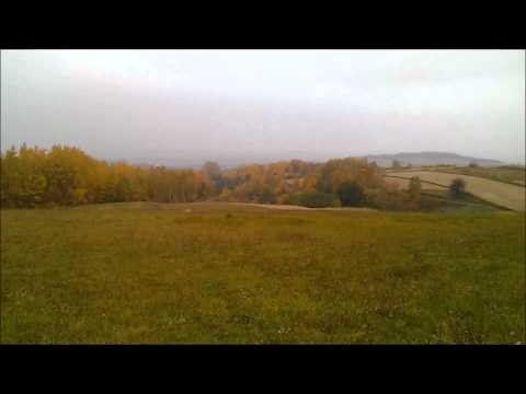 LCOI Region Świętokrzyskie - Działka Krajno Pierwsze 334/1