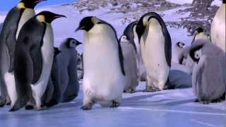 Penguin Fail - Best Bloopers from Penguins Spy in the Huddle (Waddle all the Way)