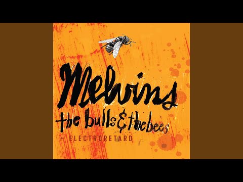 Youth Of America - Melvins