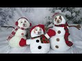 Funny Dogs in Christmas Costumes Compilation! Funny Dog Maymo, Penny & Potpie Dress Up for Holiday