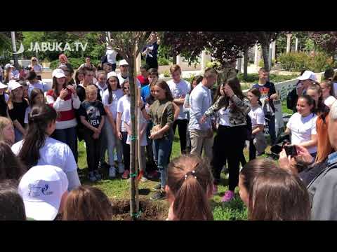 “Volontiranje je cool!”: U Mostaru se okupilo više od 200 volontera iz cijele BiH