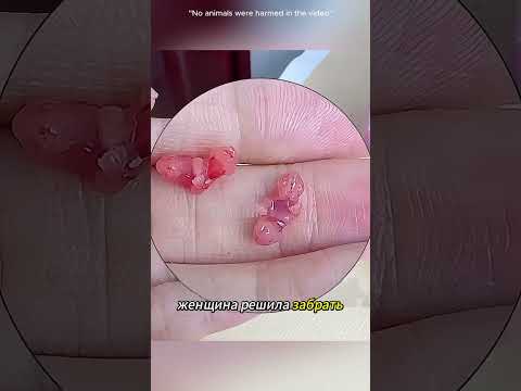 ❤️ Она стала мамой для двух крошечных диких зверьков.