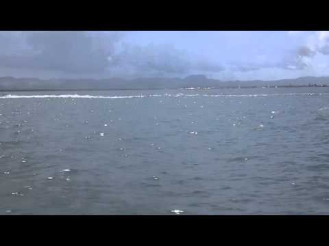 A corrida de passageiros (Weesam VS. Oceanjet)