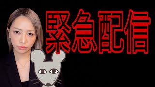 Download lagu 連れて行かないでください mp3