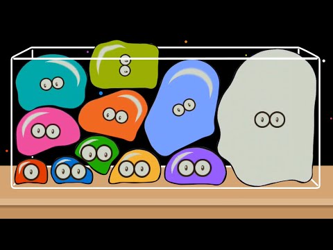 WATERDROP MERGE: HUE CHALLENGE - Jelly 2048 (Watermelon Game) Colorful ASMR Blob Merge Game