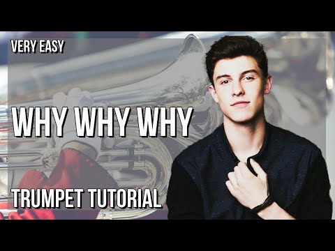 SUPER EASY: How to play Why Why Why  by Shawn Mendes on Trumpet (Tutorial)