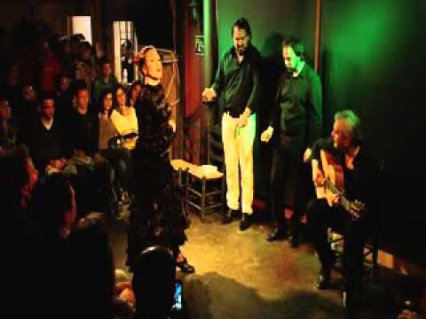 Irene "La Sentío" - Peña flamenca "Niño de la Alfalfa" (2014)