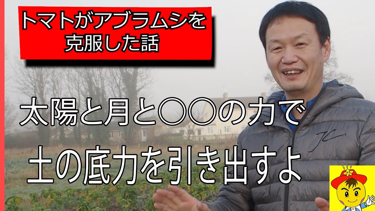 自然栽培の奇跡!土と作物を信じる人間の心