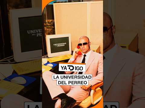 #YaTDigo: La universidad del perreo