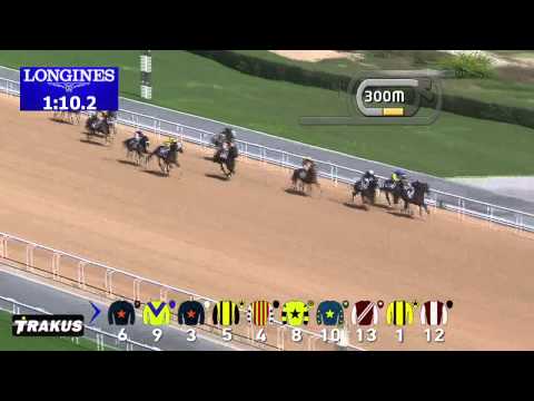 14.02.2015 Meydan (Dubai/UAE) 1.Race Alpha - Maiden 1.400 m