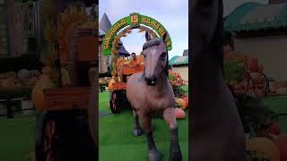 Hey that&rsquo;s 2 weeks of Me in Vietnam 🇻🇳😬 #shorts #youtubeshorts #vietnam