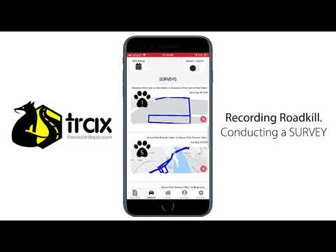 Trax - Recording Roadkill