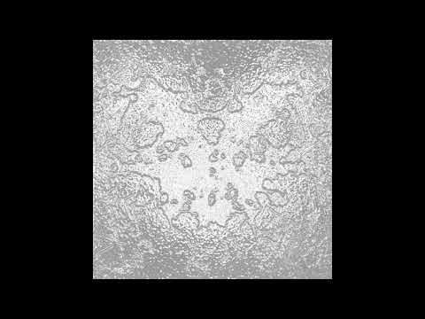 Wolf Wrams - Celestial Vision