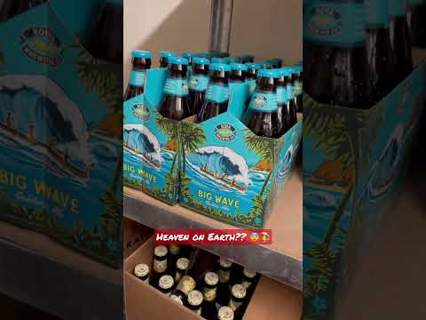 Heaven on Earth in the Beer fridge | Tromsø, Norway 🇳🇴🇳🇴🇳🇴