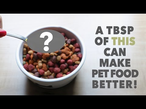 YouTube video about: What sause can I add to dog food?